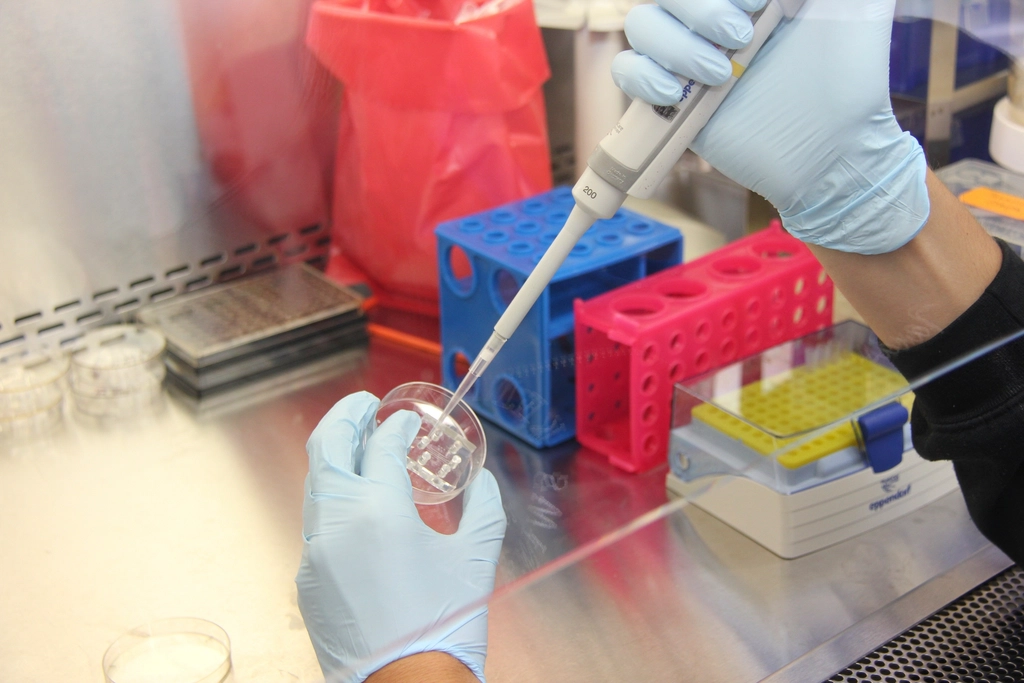 Scientist working in a laboratory